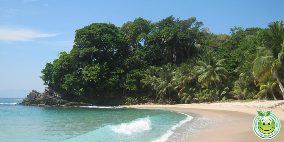Honduras Blog Honduras Caribe playa belleza tropical
