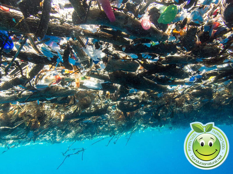 Isla de Basura - Basura flotante que contamina los océanos : Honduras  Natural