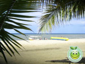 Bellas playas de Tela Honduras 