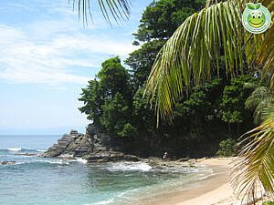 Playa Cocalito, Parque Nacional Punta Sal Tela Honduras Natural